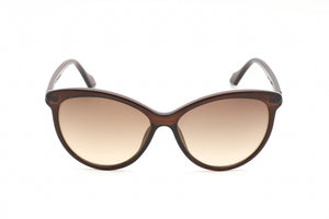 CALVIN KLEIN RETAIL CK19534S