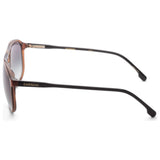 Carrera Men's Brown Aviator Sunglasses