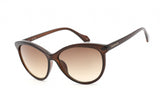 CALVIN KLEIN RETAIL CK19534S