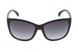 CALVIN KLEIN RETAIL CK19565S