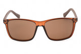 CALVIN KLEIN RETAIL CK19568S