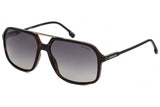 CARRERA 229/S