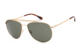 LACOSTE  L177S